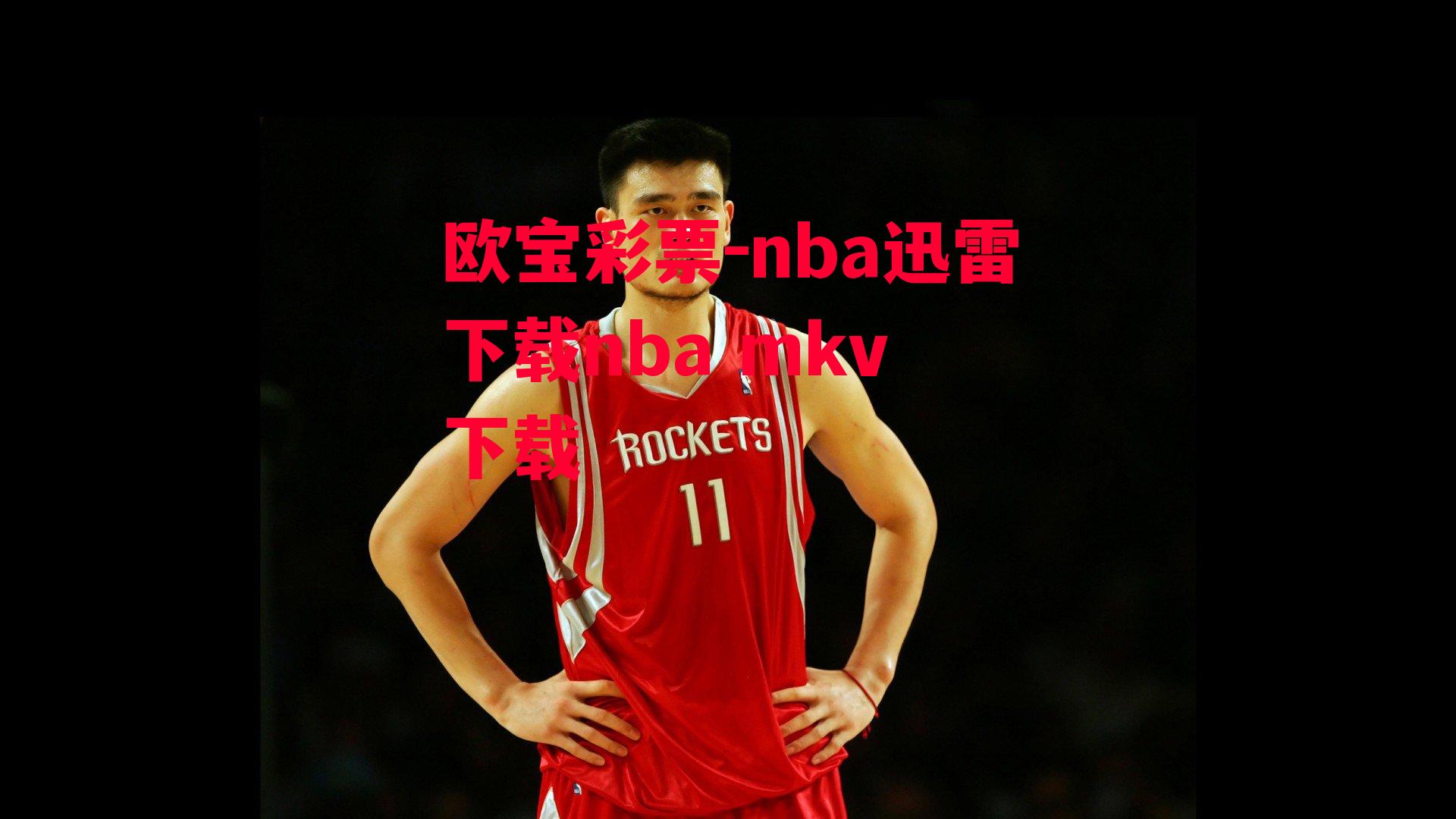 nba迅雷下载nba mkv 下载